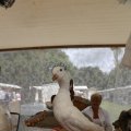 IMG_1374589