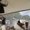 IMG_1374590