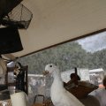 IMG_1374591