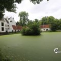 IMG_1374607