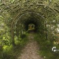 IMG_1374627