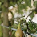 IMG_1374628