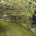 IMG_1374629