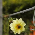 IMG_1374630