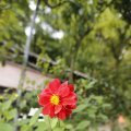IMG_1374637