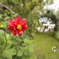 IMG_1374638