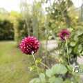 IMG_1374640