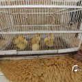 IMG_1374691