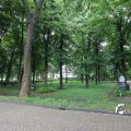 IMG_1374711