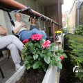 IMG_1374723