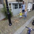 IMG_1374746