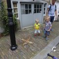 IMG_1374747