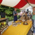 IMG_1374775