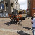 IMG_1374865