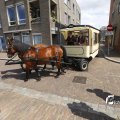 IMG_1374866