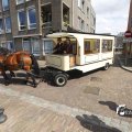 IMG_1374867