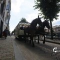 IMG_1374888