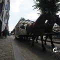IMG_1374890