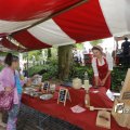 IMG_1374919