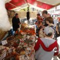 IMG_1375141