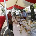 IMG_1375151
