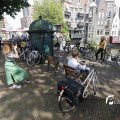 IMG_1375154