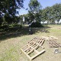 IMG_1375395
