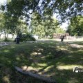 IMG_1375403