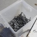 IMG_1375407