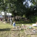 IMG_1375515