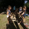 IMG_1375625