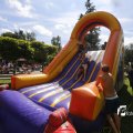 IMG_1375850
