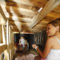 IMG_1375937
