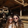 IMG_1376126