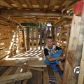 IMG_1376247