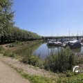 IMG_1376304