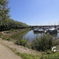 IMG_1376305