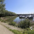 IMG_1376306