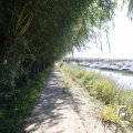 IMG_1376308