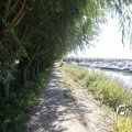 IMG_1376309