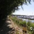 IMG_1376310