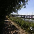 IMG_1376311