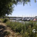 IMG_1376314