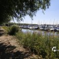 IMG_1376315