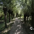 IMG_1376316