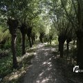 IMG_1376317