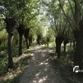 IMG_1376318
