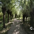 IMG_1376319