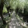 IMG_1376327