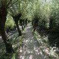 IMG_1376328